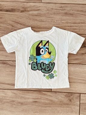 Bluey Kids' Short Sleeve Lucky or St. Patrick’s Themed Tee